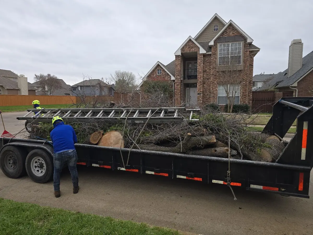 Expert Crown Reduction with proper safety equipment in Gilbertsville